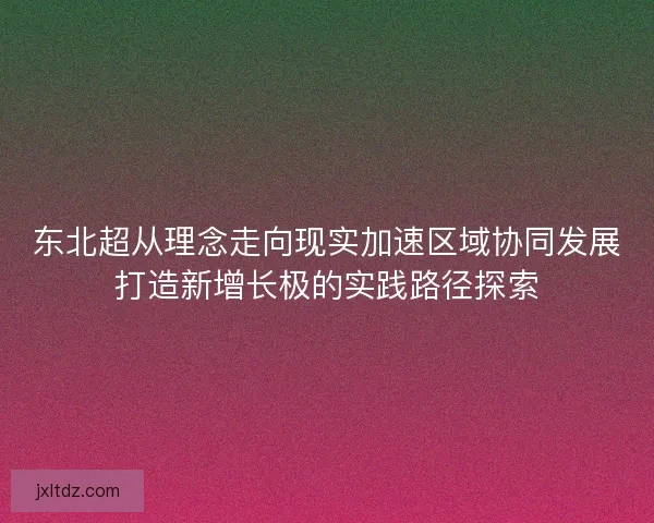 东北超从理念走向现实加速区域协同发展打造新增长极的实践路径探索